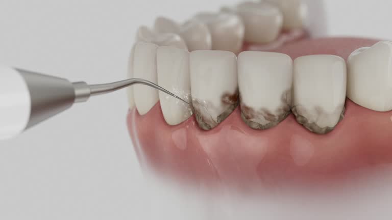 Reliable Dental contractor in North Springfield, VA by Dentist Open Now